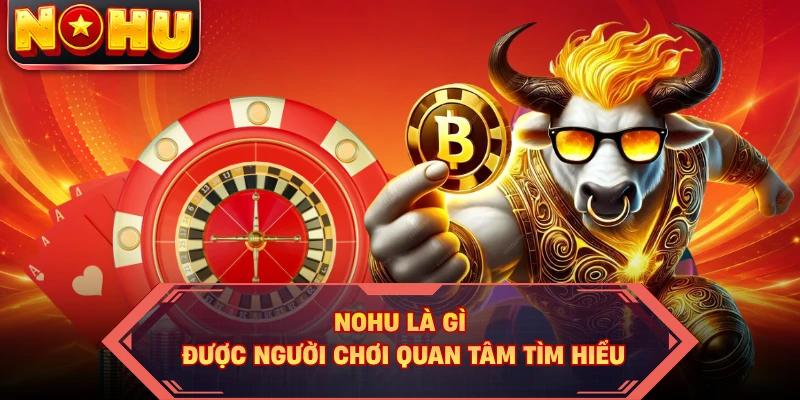 Nohu là gì được người chơi quan tâm tìm hiểu